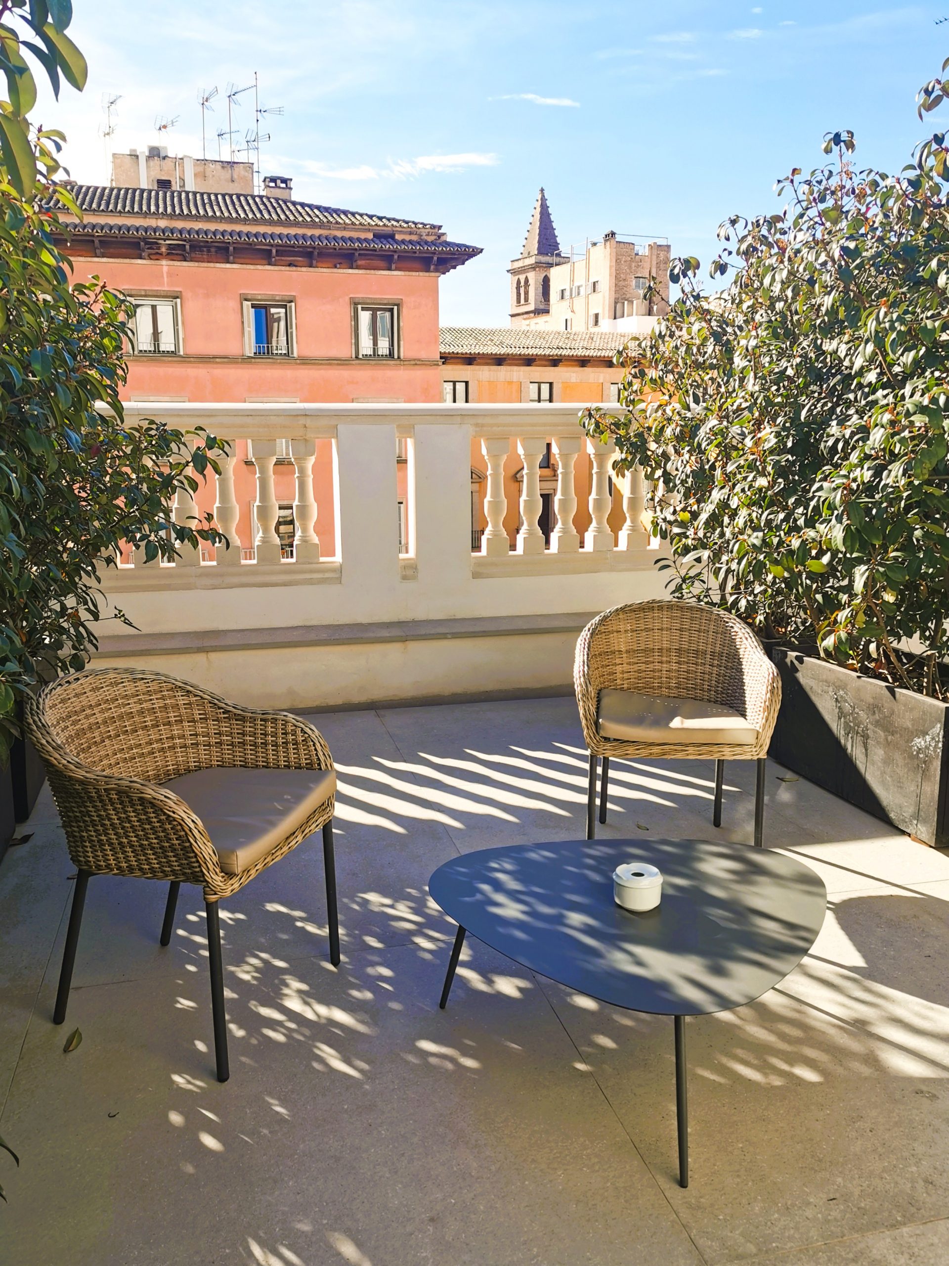 Terrakotta-Töpfe mit Sukkulenten an einer sonnigen Hauswand in einer engen Gasse in einem mallorquinischen Dorf