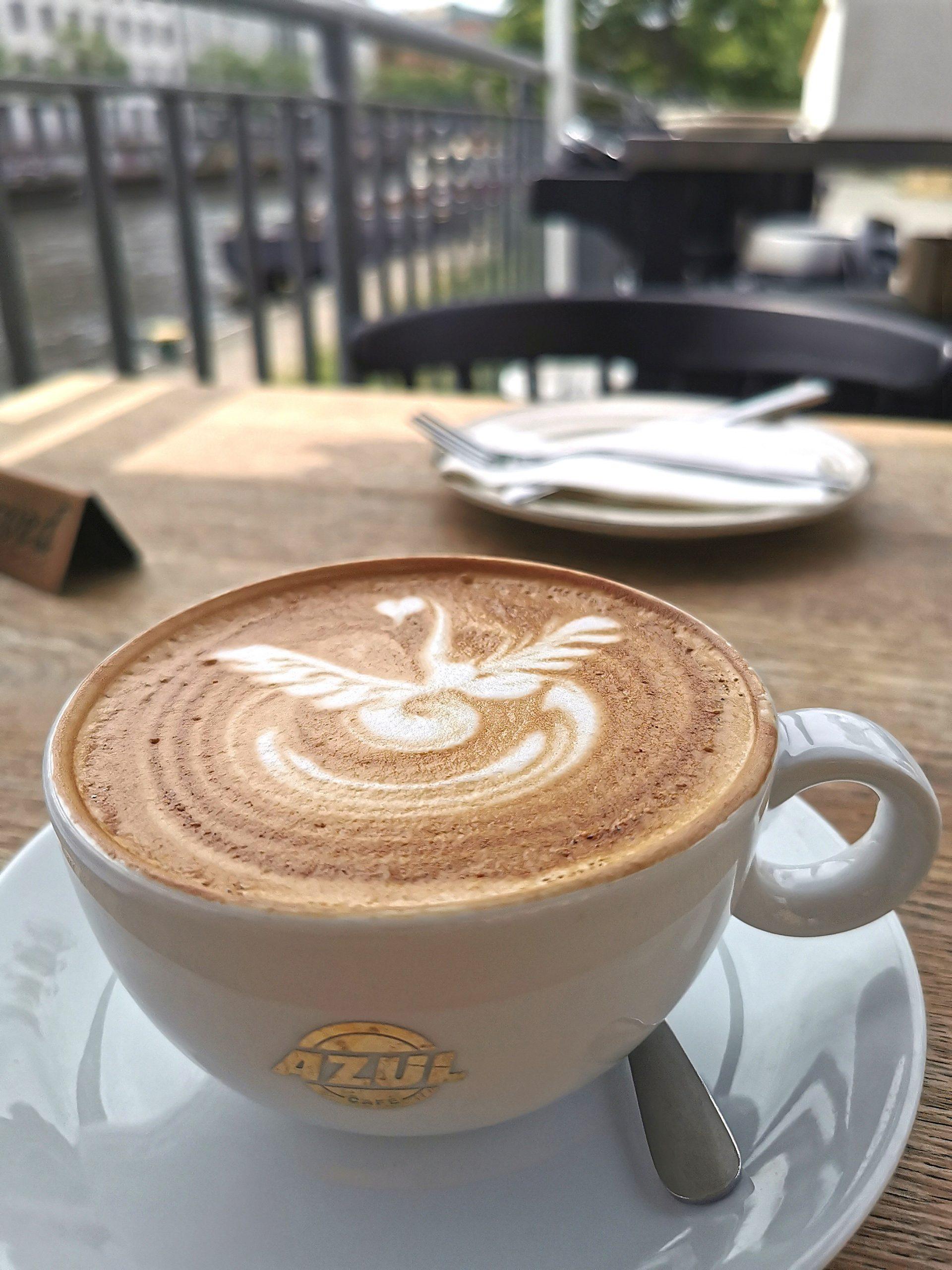 Terracottatöpfe mit Sukkulenten an einer WAnd in Fornalutx auf Mallorca.