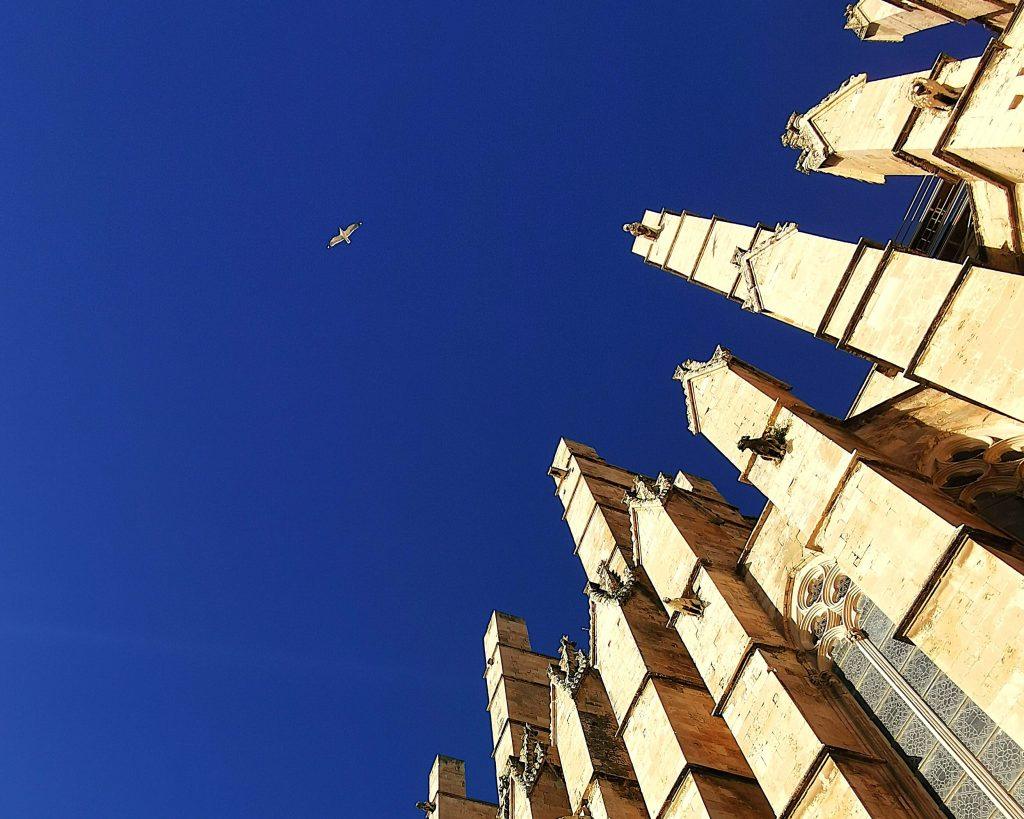 Dramatische Perspektive auf die gotische Fassade der Kathedrale La Seu in Palma de Mallorca mit tiefblauem Himmel und einer fliegenden Möwe.