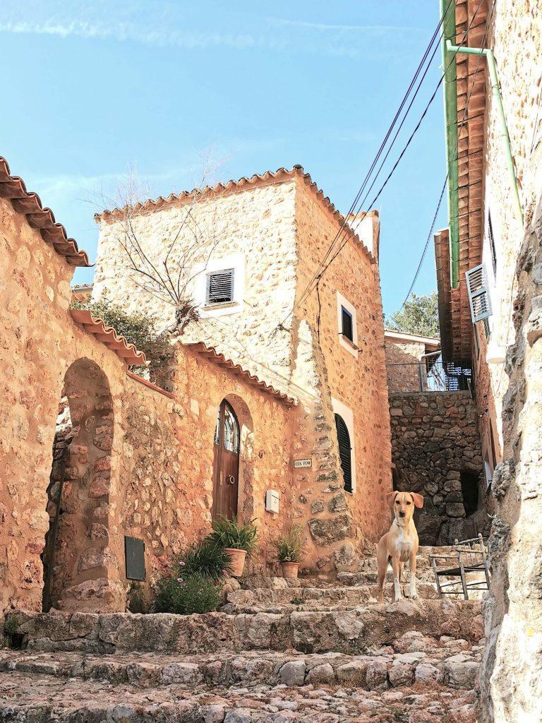Steile Natursteintreppe in Fornalutx, bewacht von einem neugierigen Hund