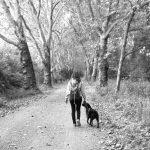 Frau geht alleine mit Hund auf geradem Waldweg – Symbolbild für Solo-Wandern und Selbstvertrauen