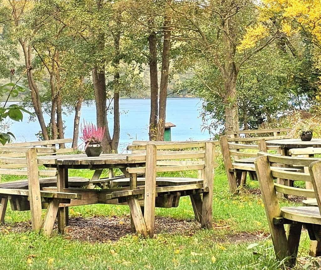 Holzsitzgruppen im Garten der Farchauer Mühle bei Ratzeburg mit Blick auf den See und herbstlichen Bäumen im Hintergrund.