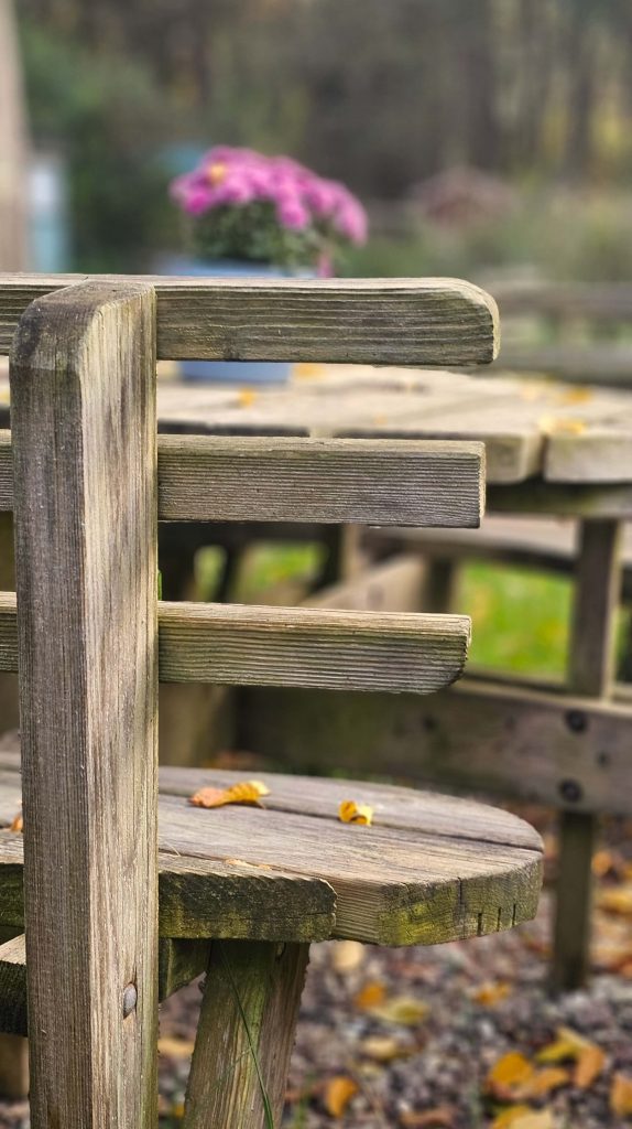 Detailaufnahme einer verwitterten Holzbank im Garten der Farchauer Mühle bei Ratzeburg, mit herbstlichen Blättern und unscharfem Blumenarrangement im Hintergrund.