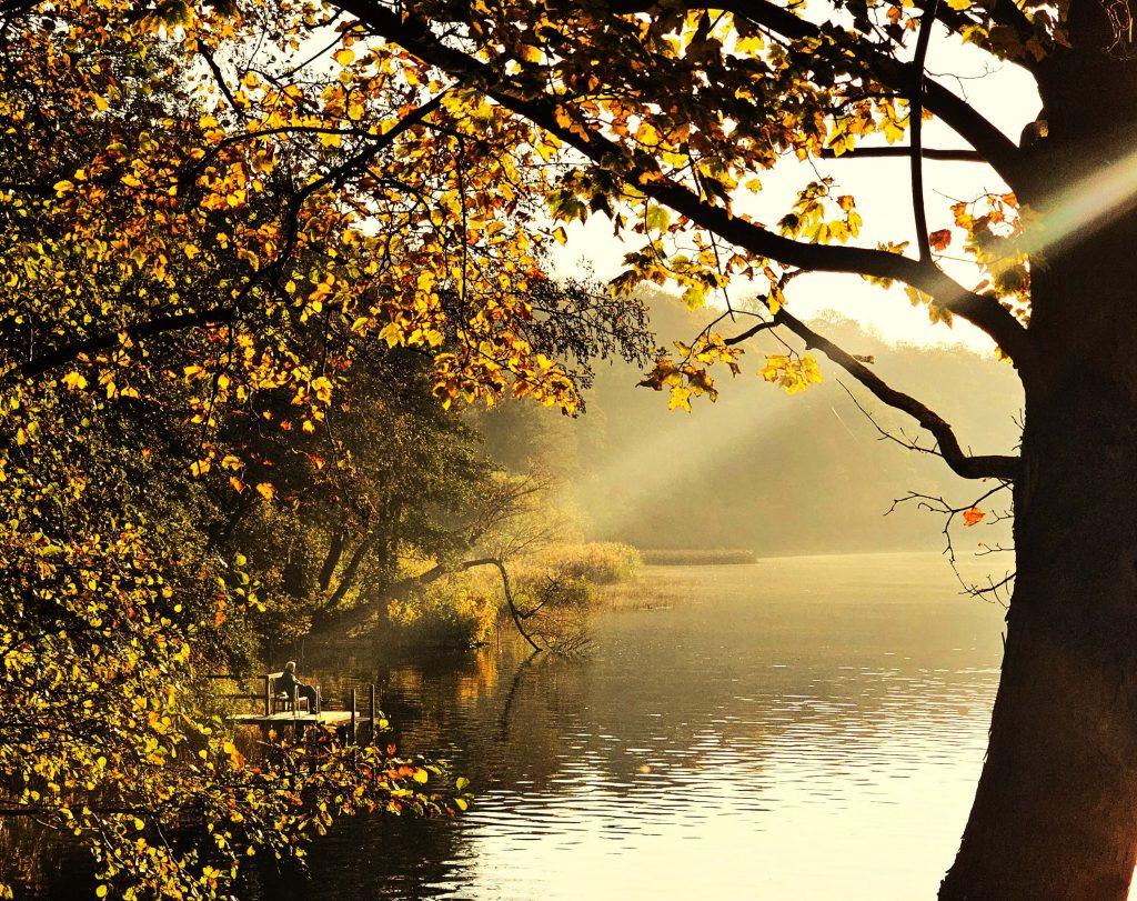 Sonnenstrahlen fallen durch herbstliche Bäume auf den Ratzeburger See und beleuchten einen kleinen Steg im goldenen Abendlicht.