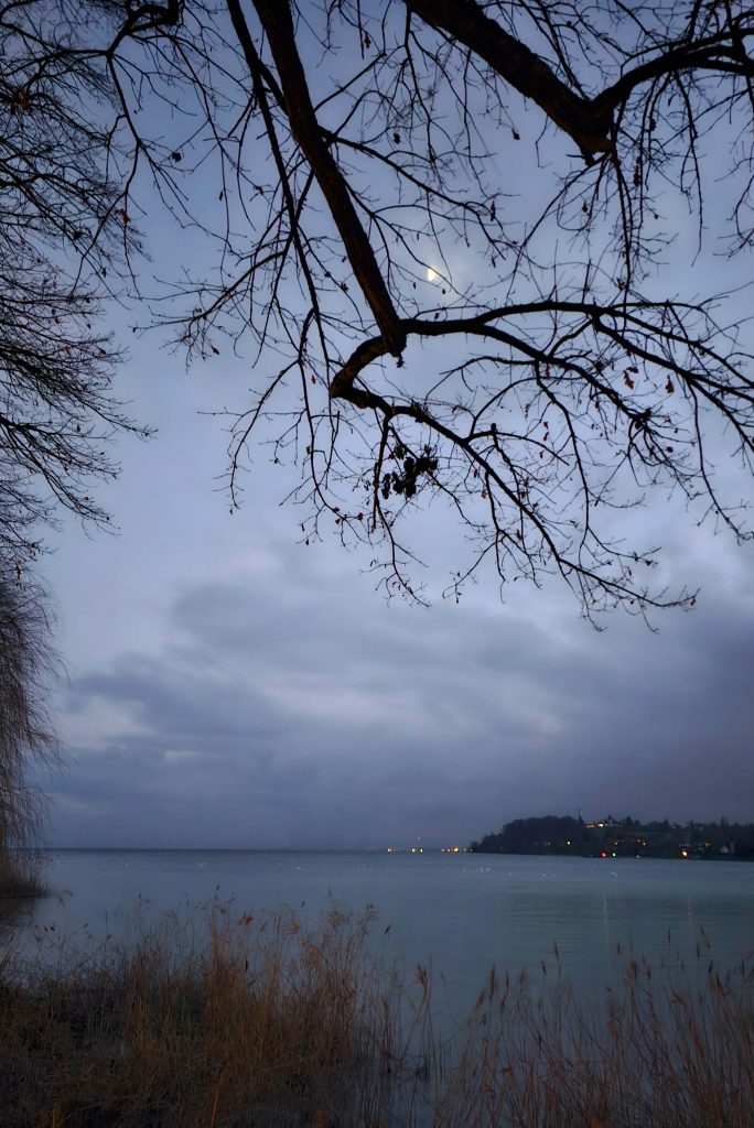 Dämmerungsstimmung am Bodensee mit kahlen Ästen im Vordergrund und Blick auf das Wasser – aufgenommen auf dem Weg zum Christmas Garden auf der Insel Mainau.