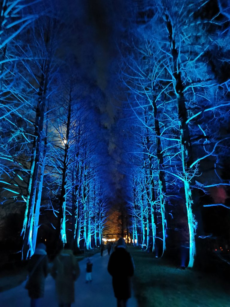 Blau beleuchtete Allee mit Bäumen im Christmas Garden Konstanz bei Nacht, Besucher laufen durch den Lichterweg.