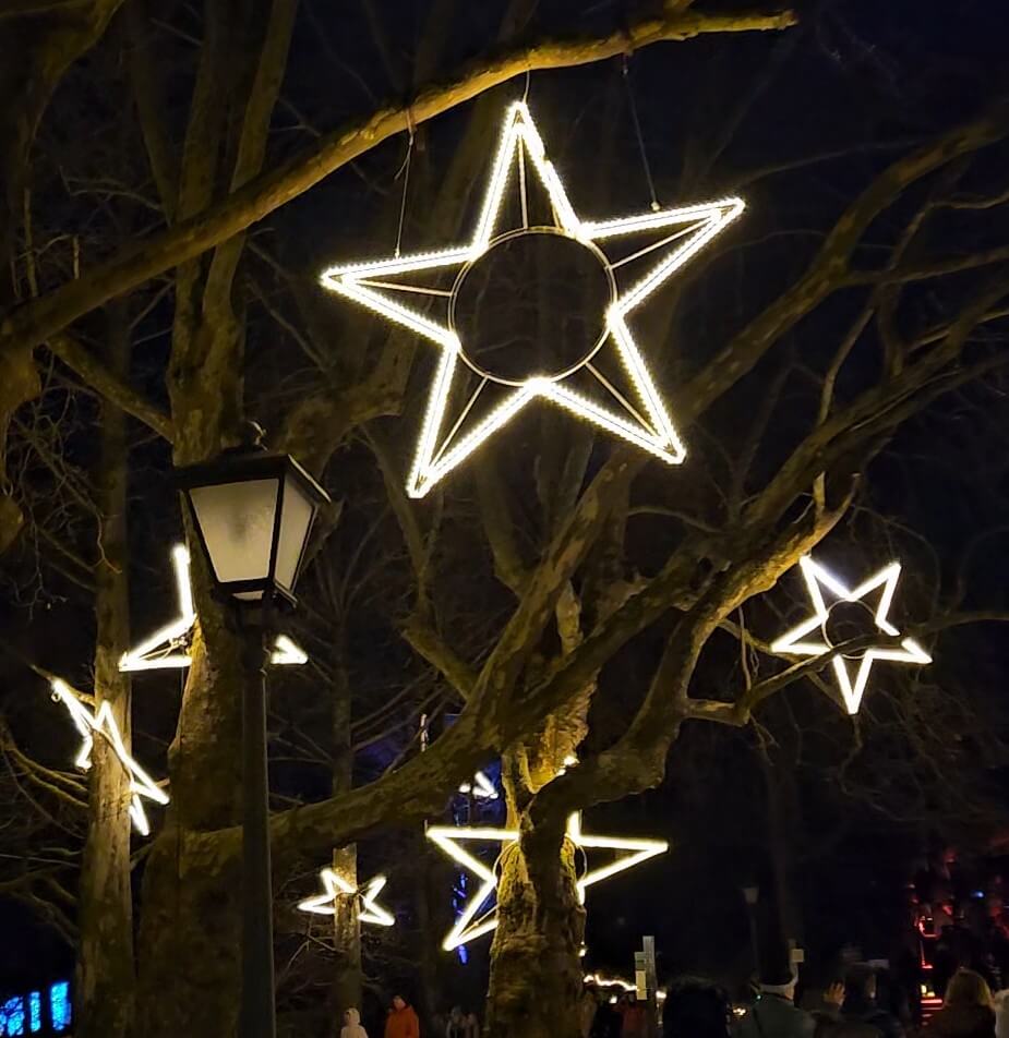 Leuchtende LED-Sterne hängen in den Ästen der Bäume beim Christmas Garden auf der Insel Mainau, daneben eine historische Laterne im Dunkeln.