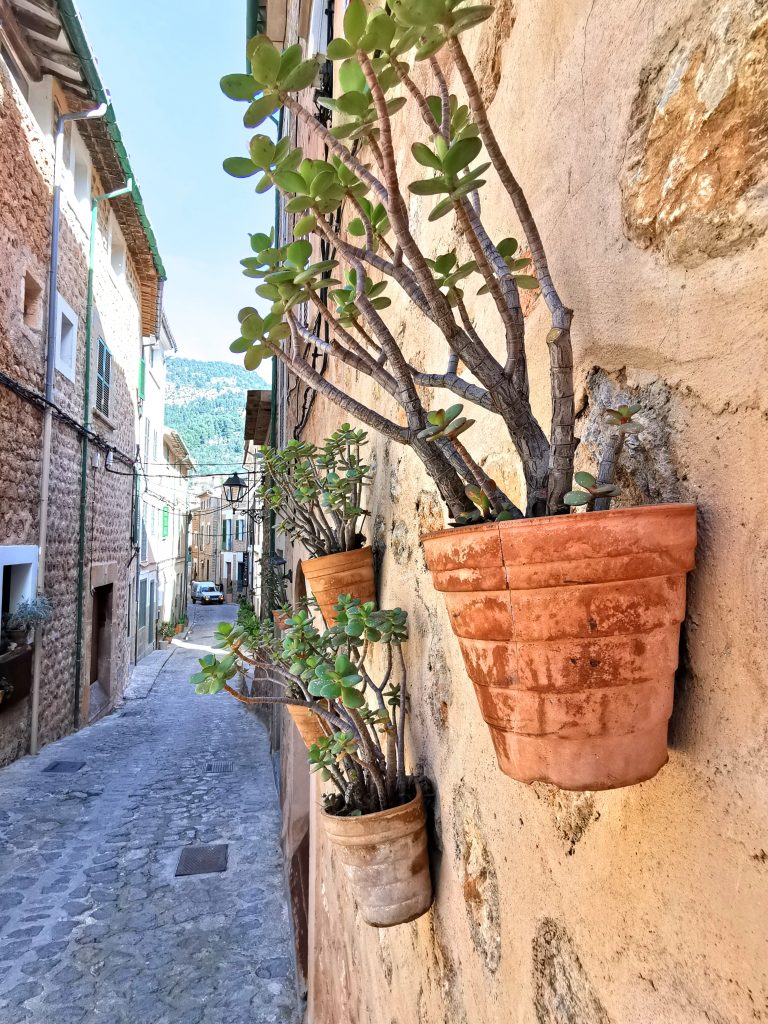 Terrakottatöpfe mit Sukkulenten an einer Sandsteinwand in Fornalutx auf Mallorca, beleuchtet von der Wintersonne