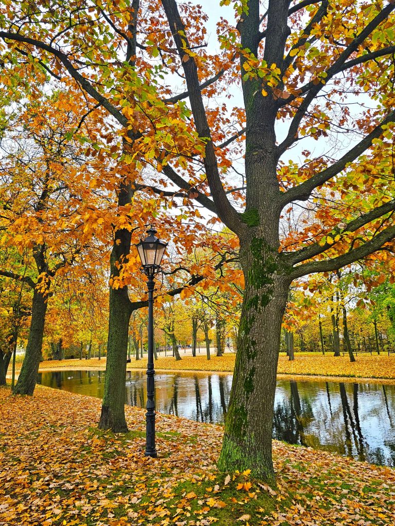 Herbstallee im Schlosspark Schwerin mit Laterne und Wasserlauf – stimmungsvolles Motiv für ruhige Herbsttage in Norddeutschland, ideal als Ausflugsziel im Herbst.