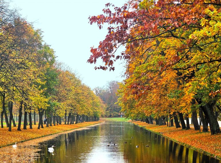 Herbstliche Allee mit buntem Laub und Kanal – ein typisches Bild für Norddeutschland im Herbst.