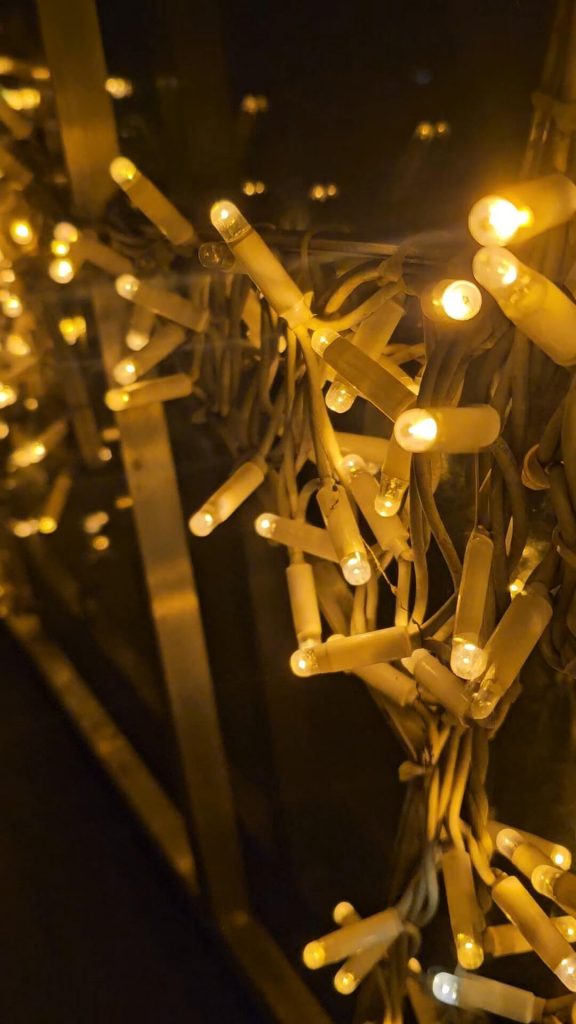 Makroaufnahme warmweißer LED-Lichterketten im Christmas Garden Mainau.