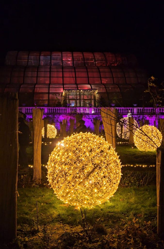 Beleuchtetes Palmenhaus mit großen, warm leuchtenden Lichterkugeln im Christmas Garden auf der Insel Mainau.