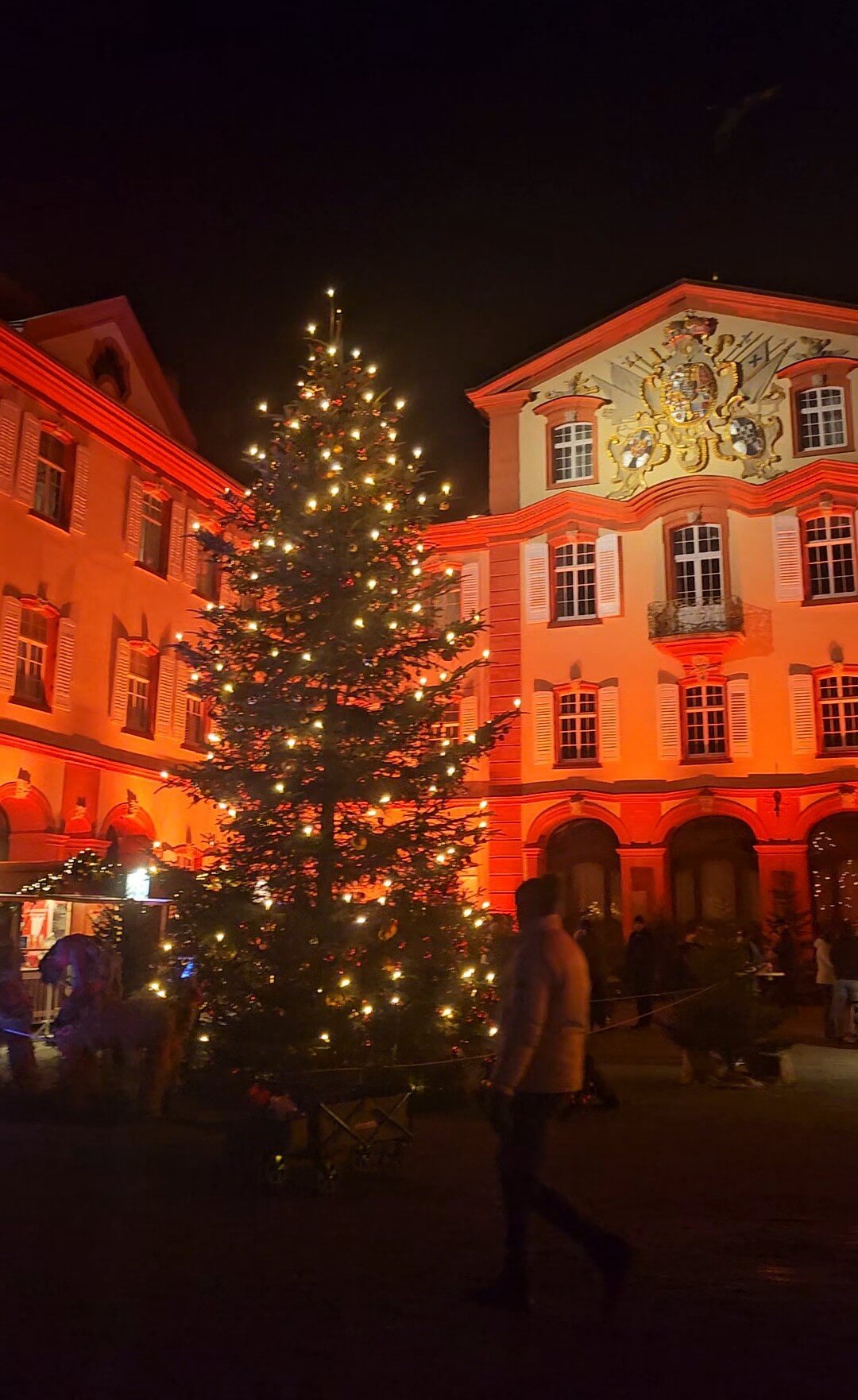 Terrakottatöpfe mit Sukkulenten an einer Sandsteinwand in Fornalutx auf Mallorca, beleuchtet von der Wintersonne