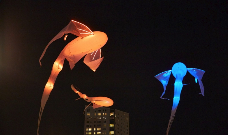 Leuchtende Fantasiefiguren der PreShow beim Seenachtsfest 2026