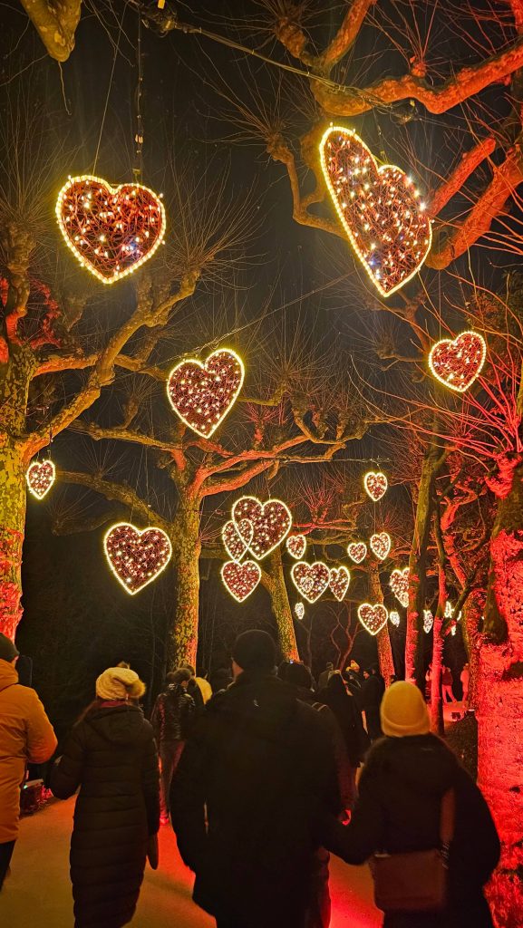 Leuchtende Herzen über dem Rundweg beim Christmas Garden Mainau