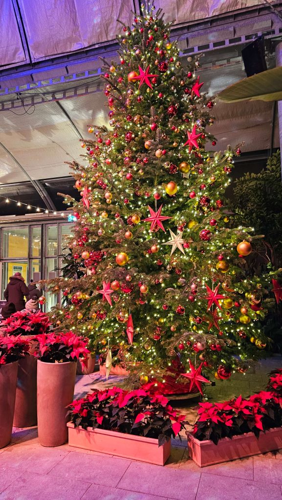 Geschmückter Weihnachtsbaum im Palmenhaus beim Christmas Garden Mainau
